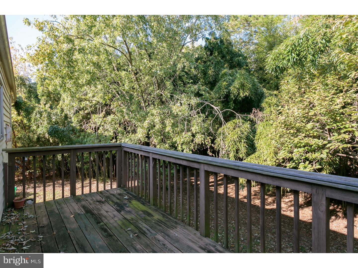 209 Winston Road Mount Laurel, NJ 08054 - Photo 23 of 25 Deck