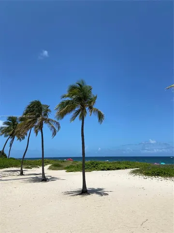 a palm tree sitting on a wooden floor