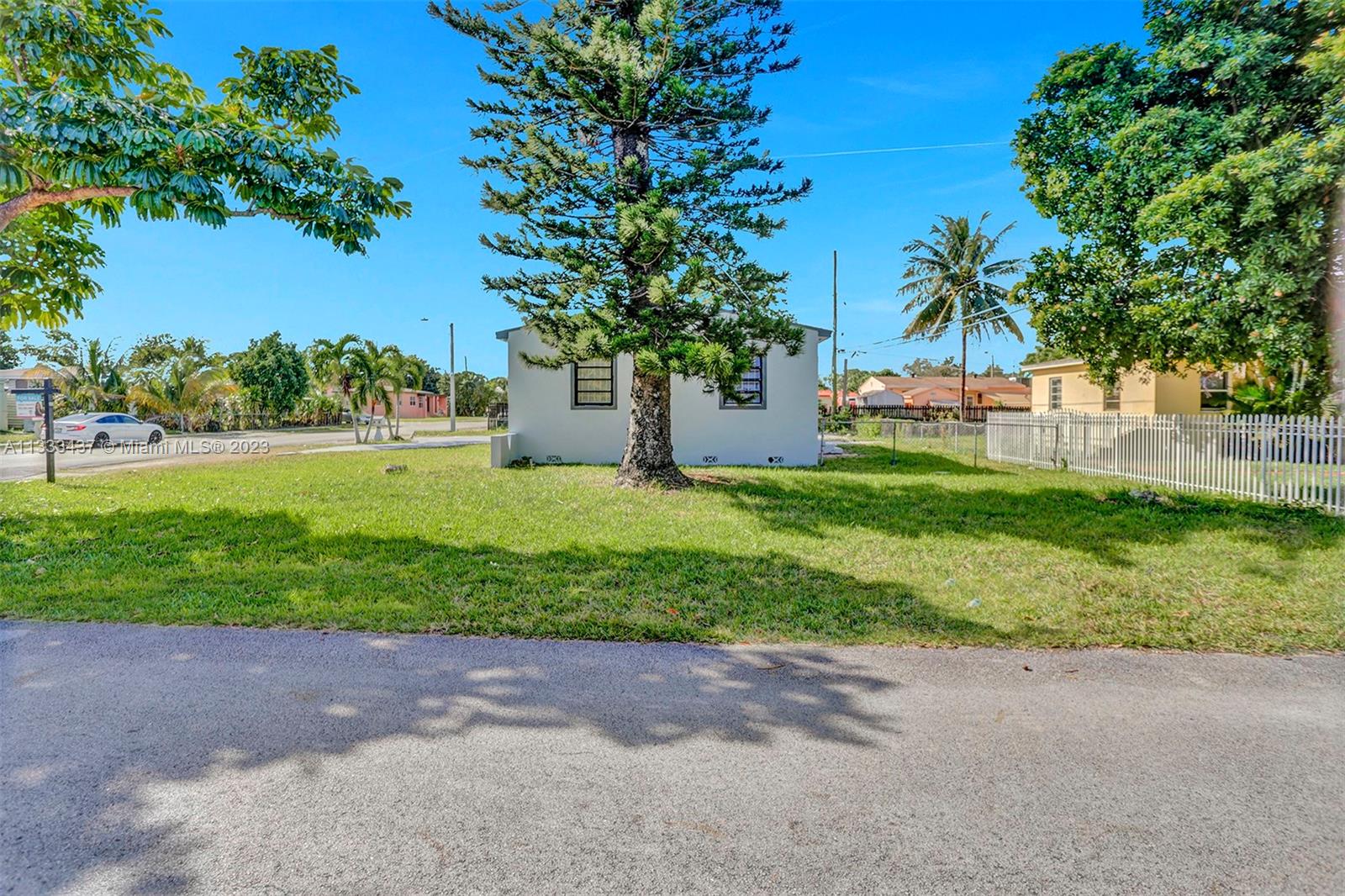 1101 Northwest 147th Street Miami, FL 33168 - Photo 45 of 45 a view of a yard with plants and a trees