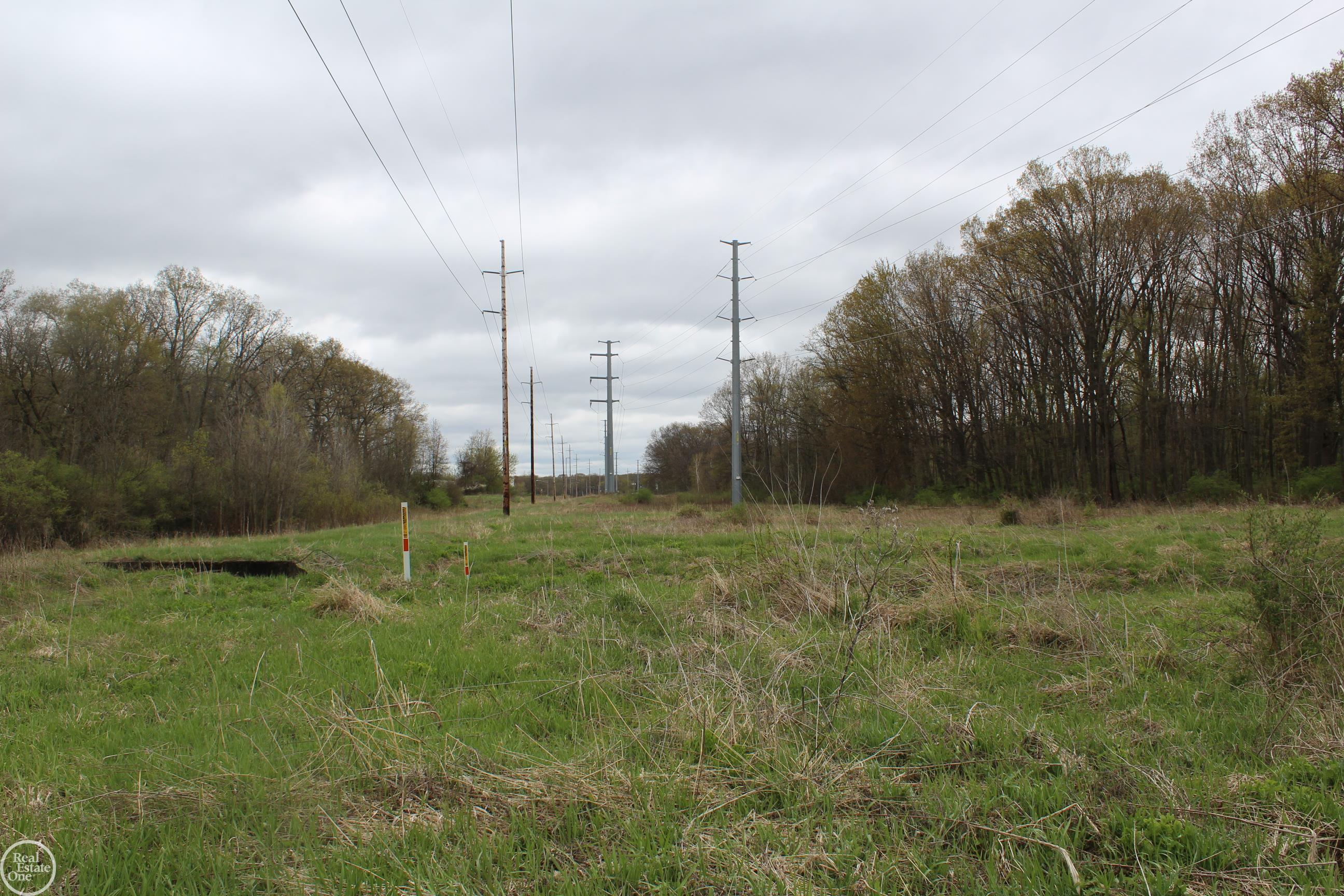 Morrill Street Jackson, MI 49201 - Photo 2 of 7