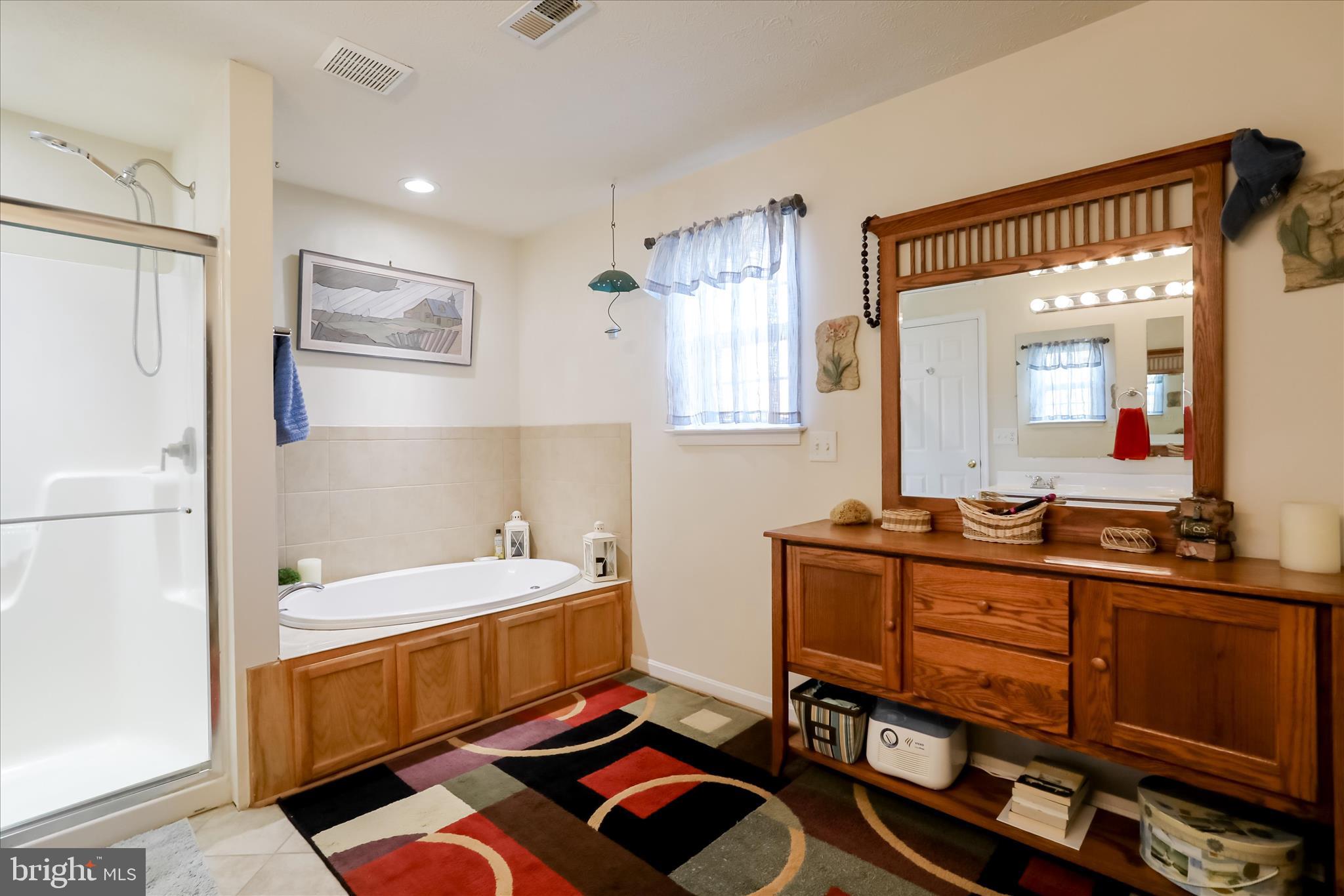 2747 Timber Rdg Road Capon Bridge, WV 26711 - Photo 70 of 97 En-Suite Master Bathroom w/walk-in closet