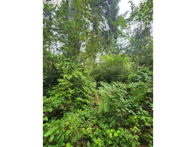 a close up of a tree in a garden