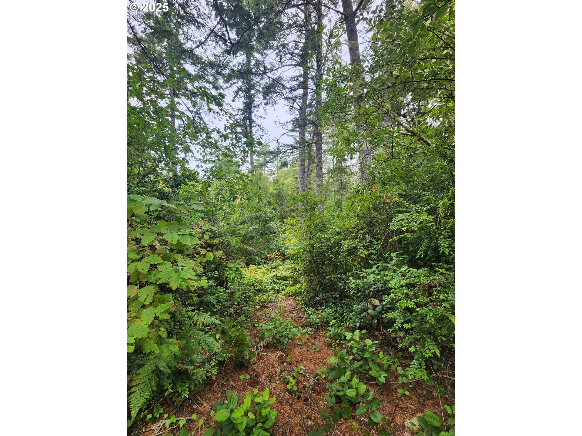 0 Sand Dune Park Drive, Unit TL 800 Florence, OR 97439 - Photo 5 of 9