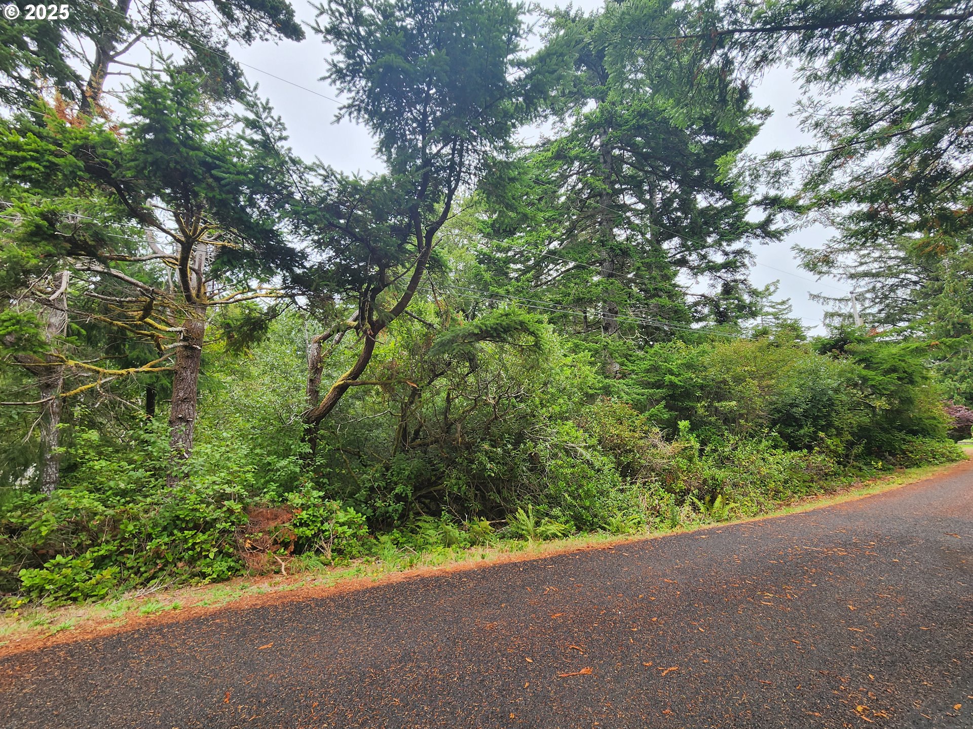 0 Sand Dune Park Drive, Unit TL 800 Florence, OR 97439 - Photo 8 of 9 a view of a garden with plants