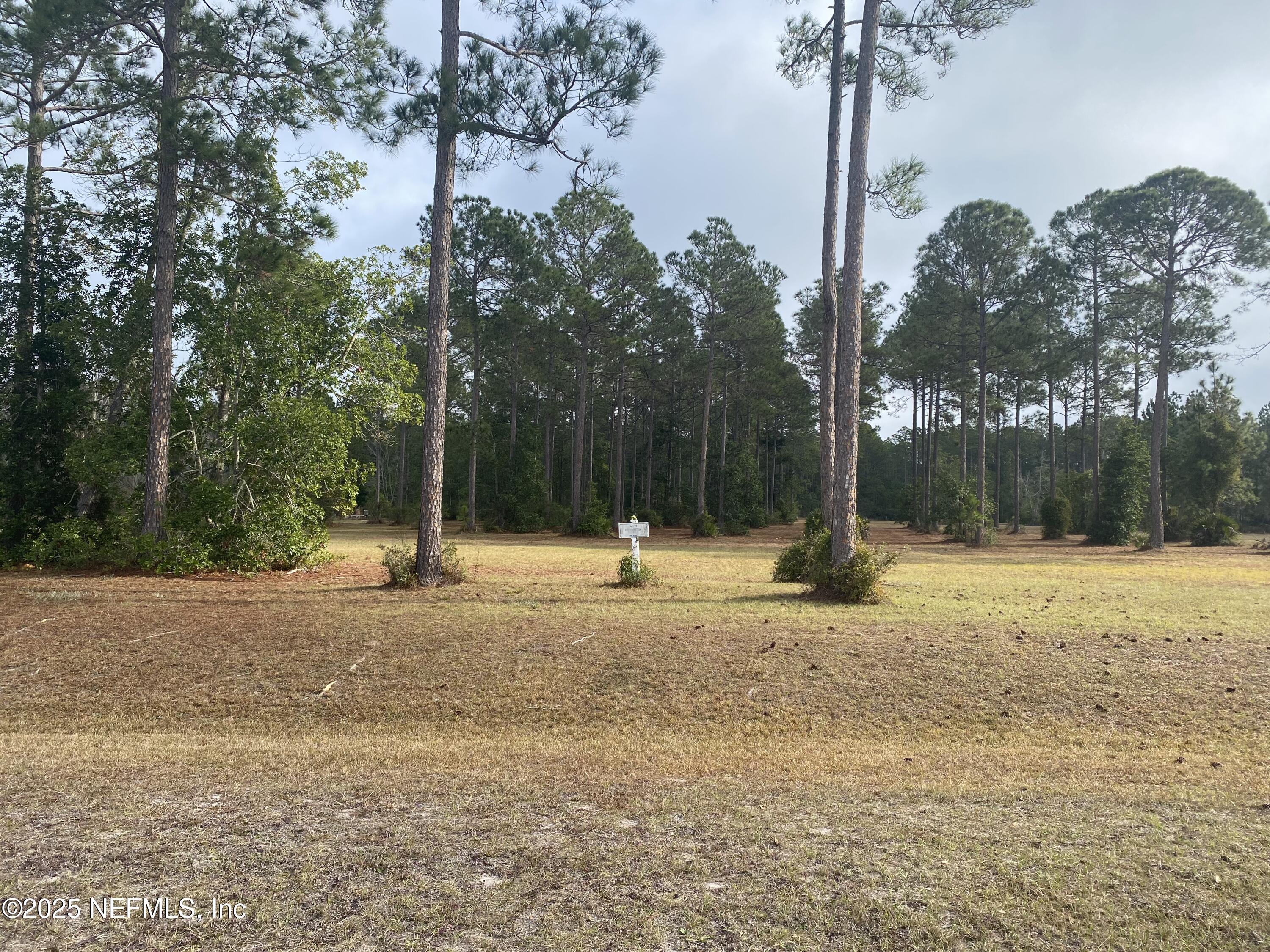 11049 Whisper Ridge Court Jacksonville, FL 32219 - Photo 2 of 7 a house with trees in the background