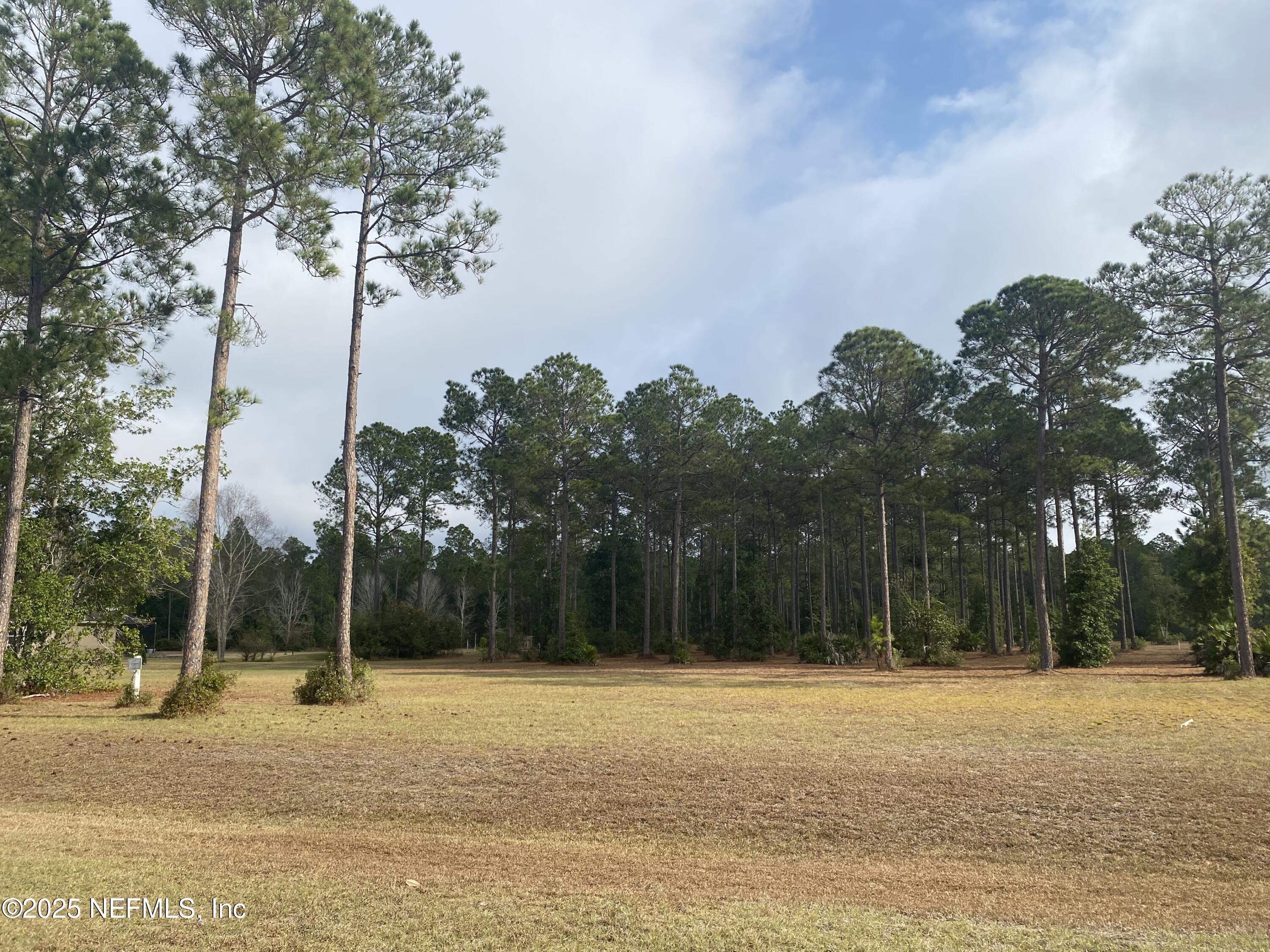 11049 Whisper Ridge Court Jacksonville, FL 32219 - Photo 3 of 7 a backyard of a house with lots of green space