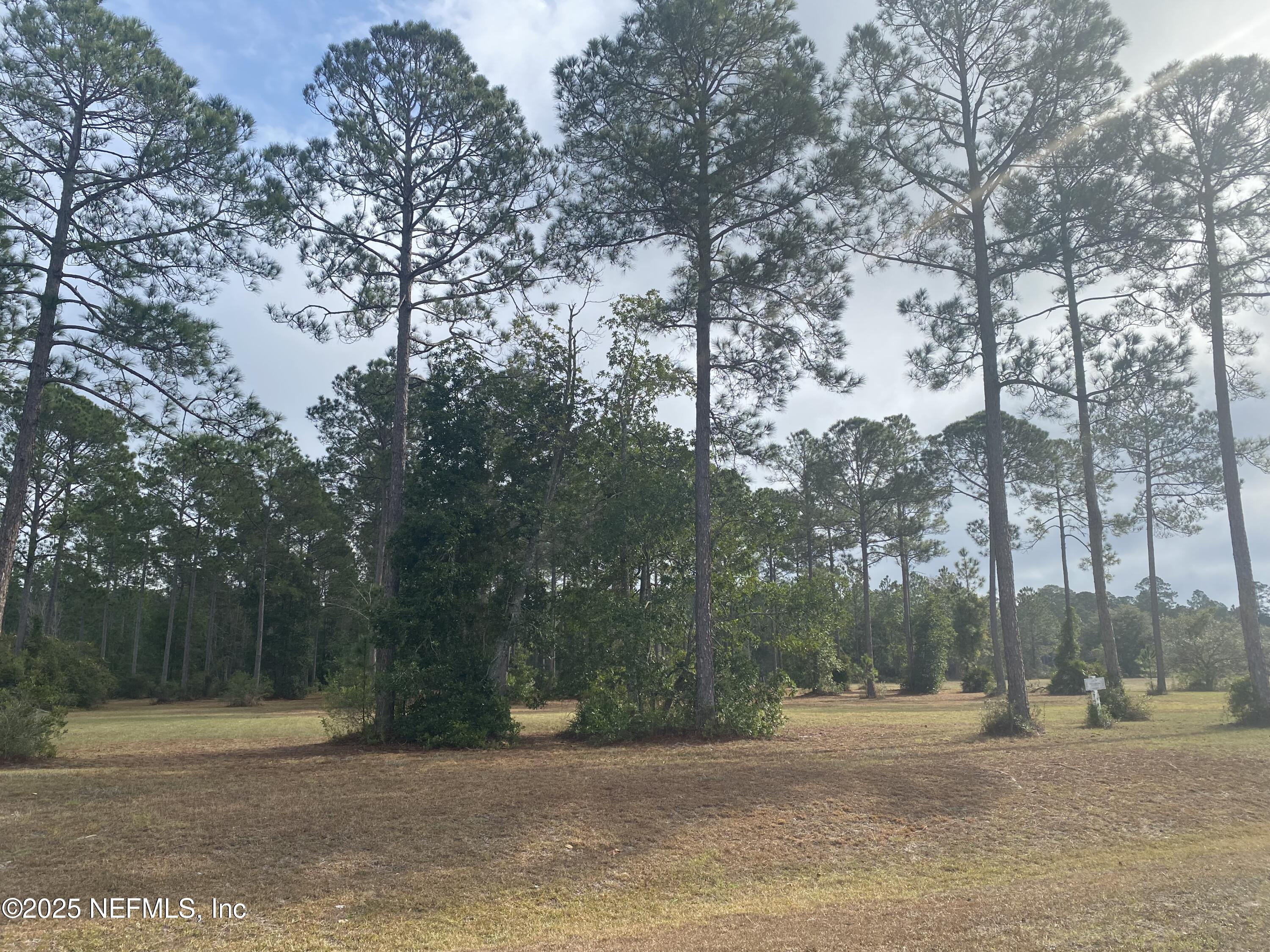 11049 Whisper Ridge Court Jacksonville, FL 32219 - Photo 4 of 7 a backyard of a house with lots of green space