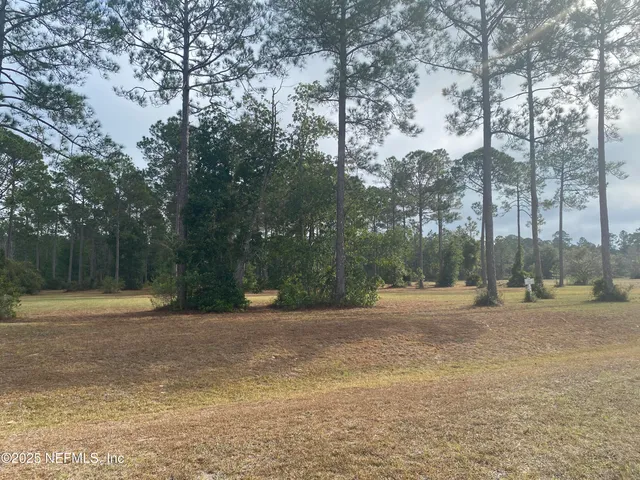 a backyard of a house with lots of green space