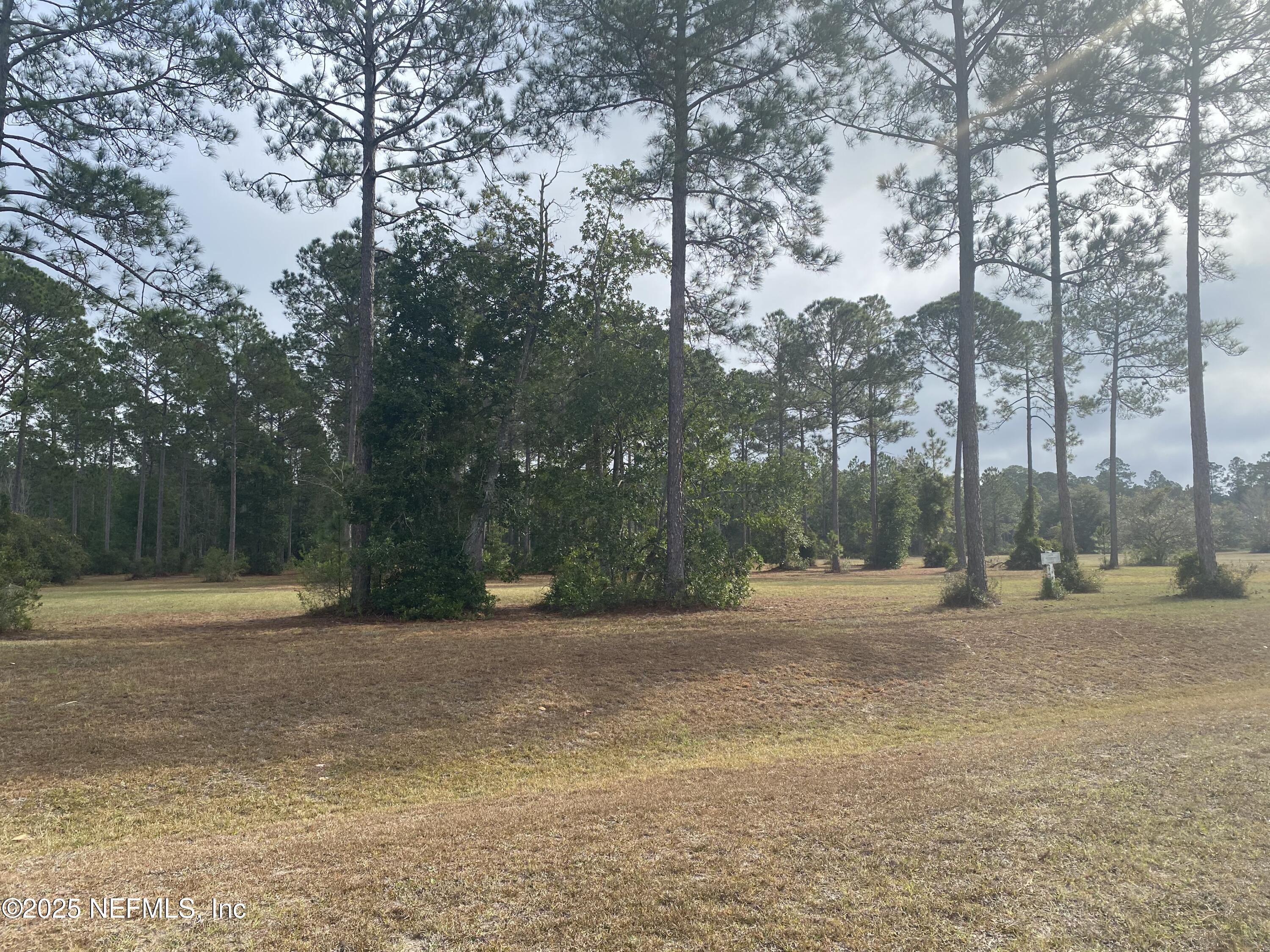 11049 Whisper Ridge Court Jacksonville, FL 32219 - Photo 5 of 7 a backyard of a house with lots of green space