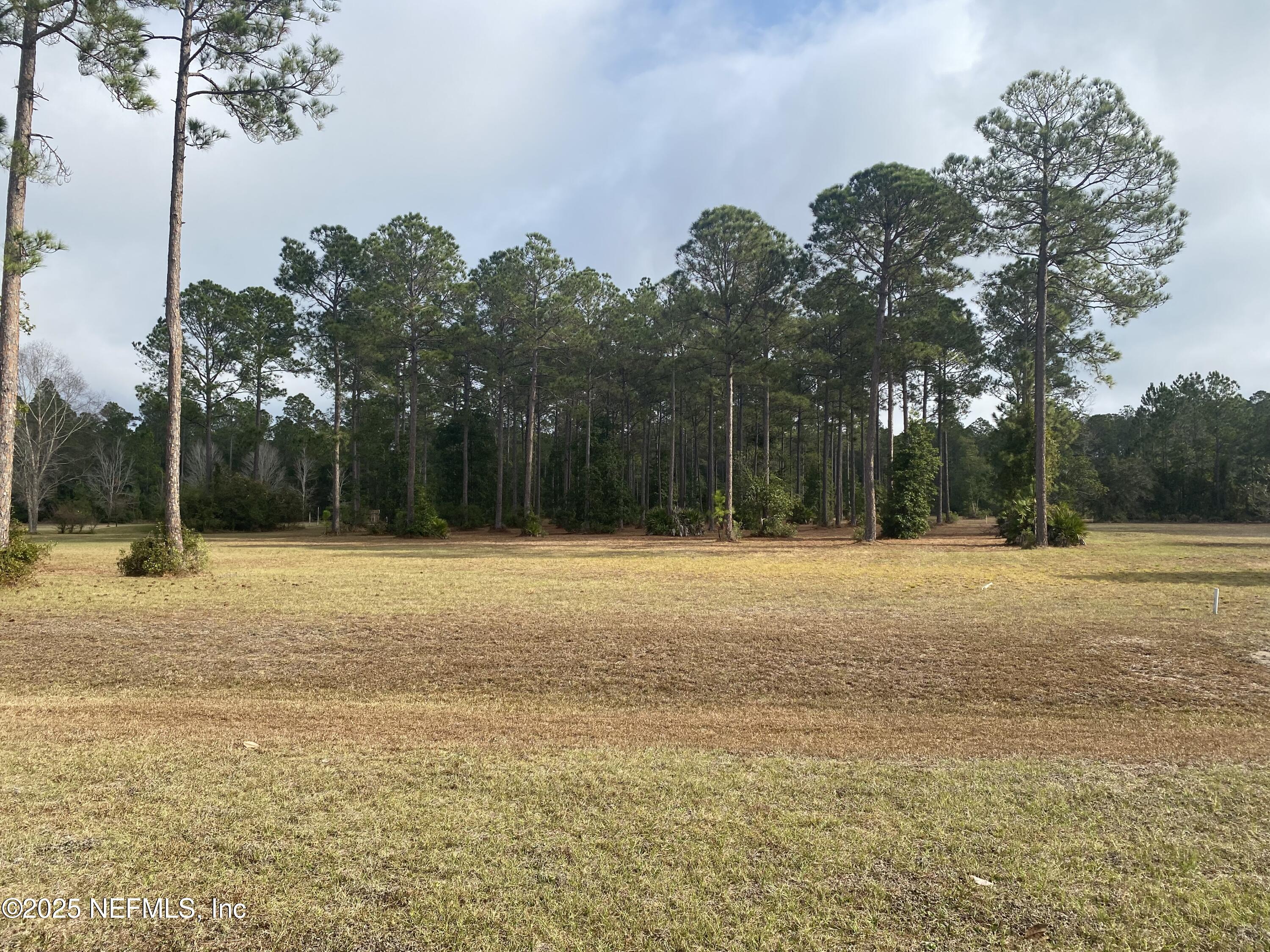 11049 Whisper Ridge Court Jacksonville, FL 32219 - Photo 6 of 7 a house view with a swimming pool
