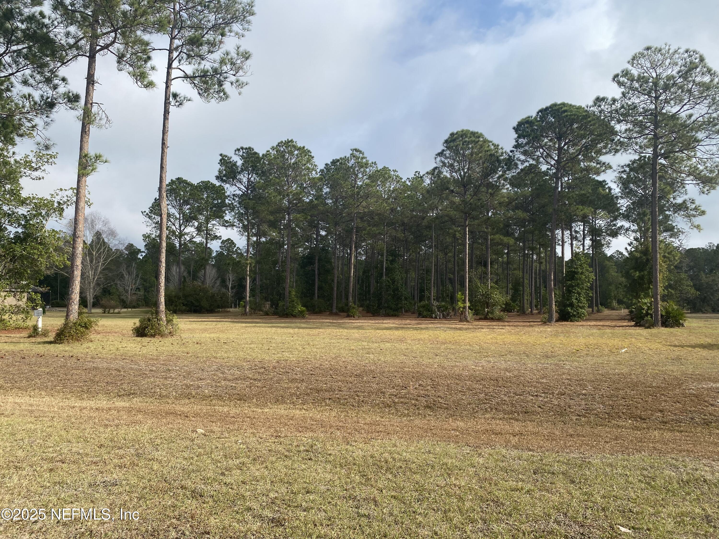 11049 Whisper Ridge Court Jacksonville, FL 32219 - Photo 7 of 7 a backyard of a house with palm trees
