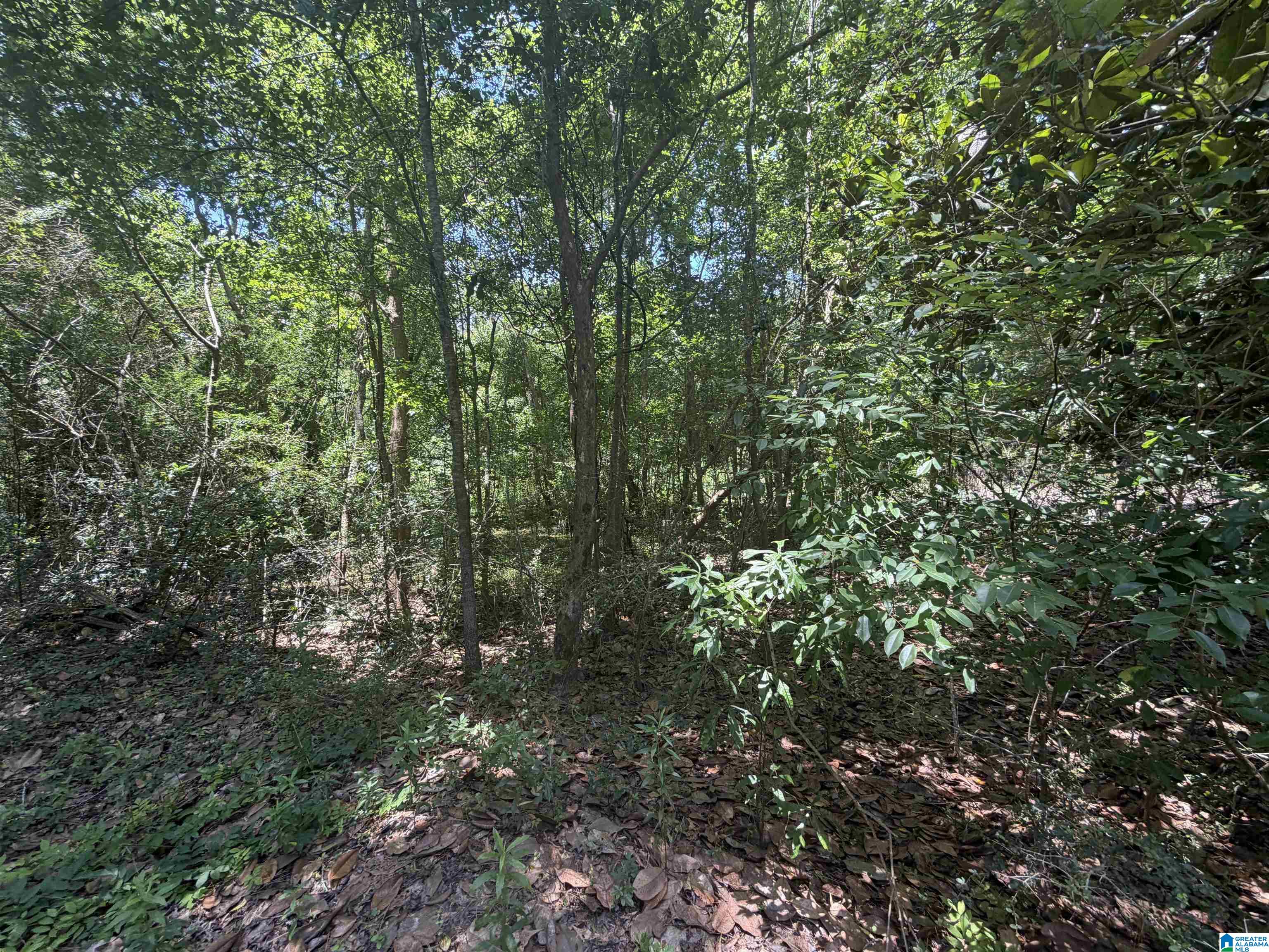 21123 Loop Road, Unit 1 Andalusia, AL 36421 - Photo 4 of 5