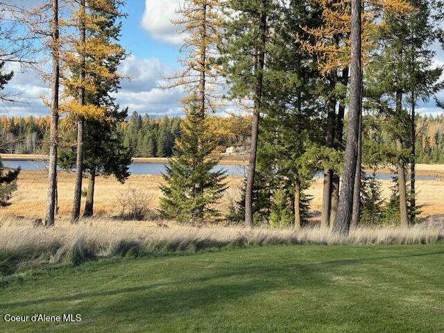 2995 East Dufort Road Sagle, ID 83860 - Photo 37 of 38 lawn to lake