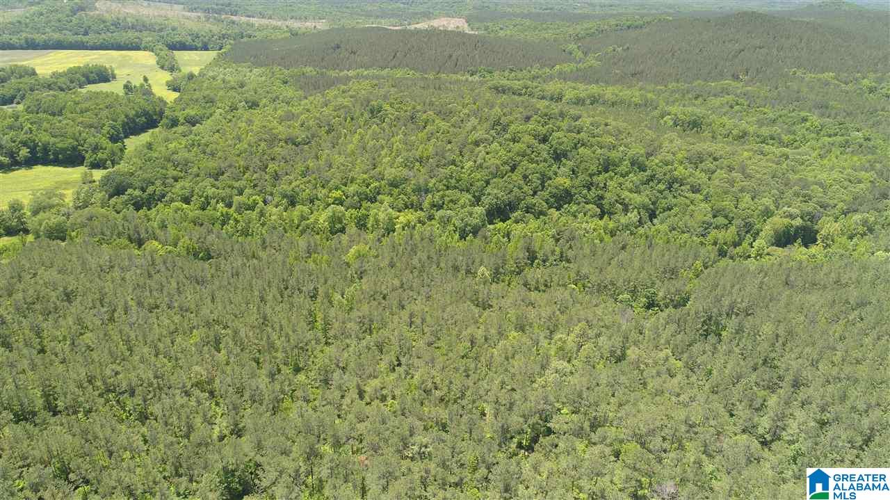 0 Chapman Road, Unit 175 Goodwater, AL 35072 - Photo 16 of 16