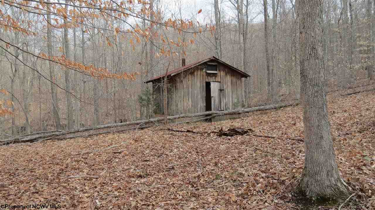 2806 Big Pigeon Road Procious, WV 25164 - Photo 16 of 19 Gallery Image 16