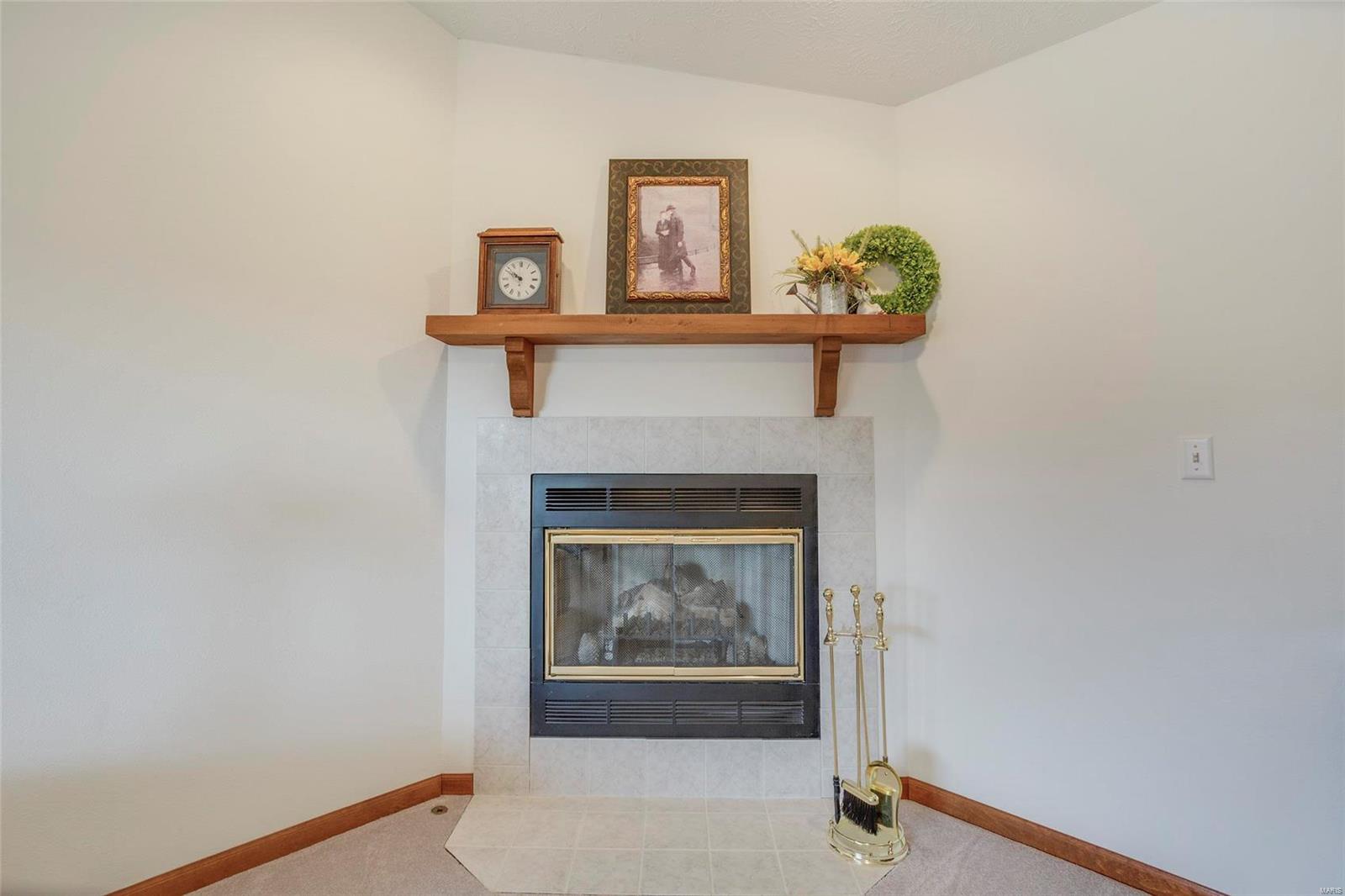 321 Benjamin Lane Waterloo, IL 62298 - Photo 8 of 33 Gallery Image 8