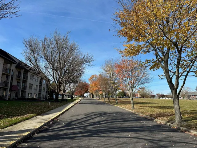 a view of road with trees