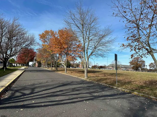a view of road with trees