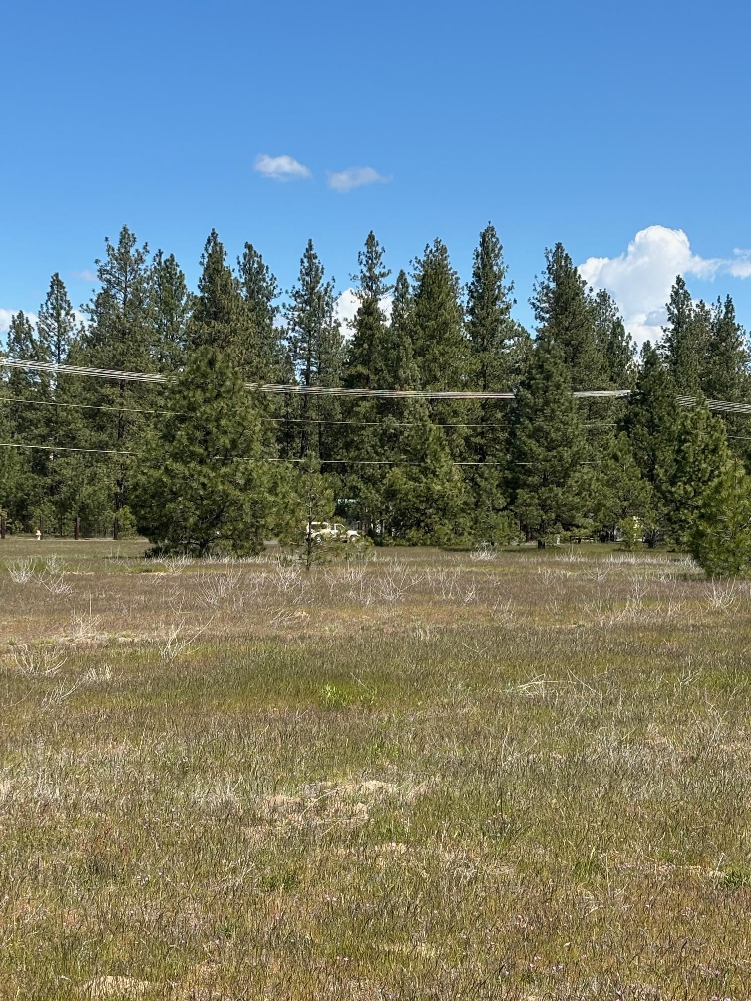 0 North Yale Road Colbert, WA 99005 - Photo 11 of 29