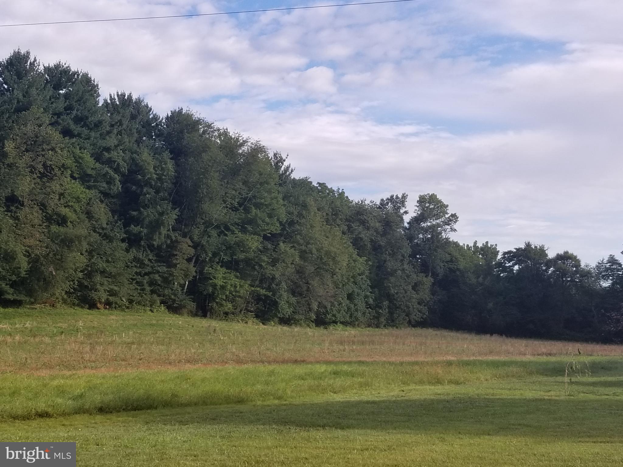504 St Johns Road Littlestown, PA 17340 - Photo 5 of 7 View of woods after passing house
