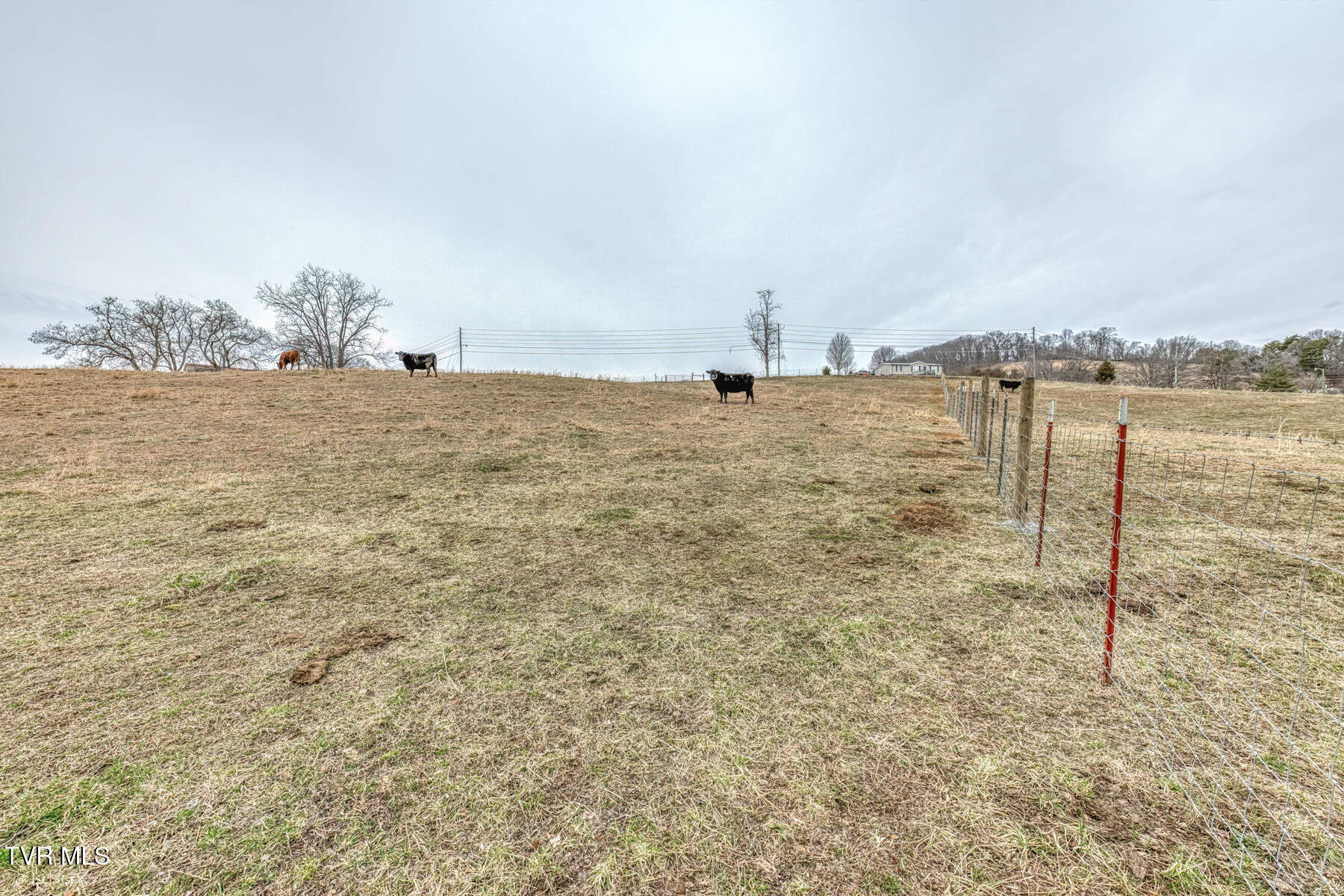 707 Egypt Road Bluff City, TN 37618 - Photo 13 of 16 egypt rd land 10