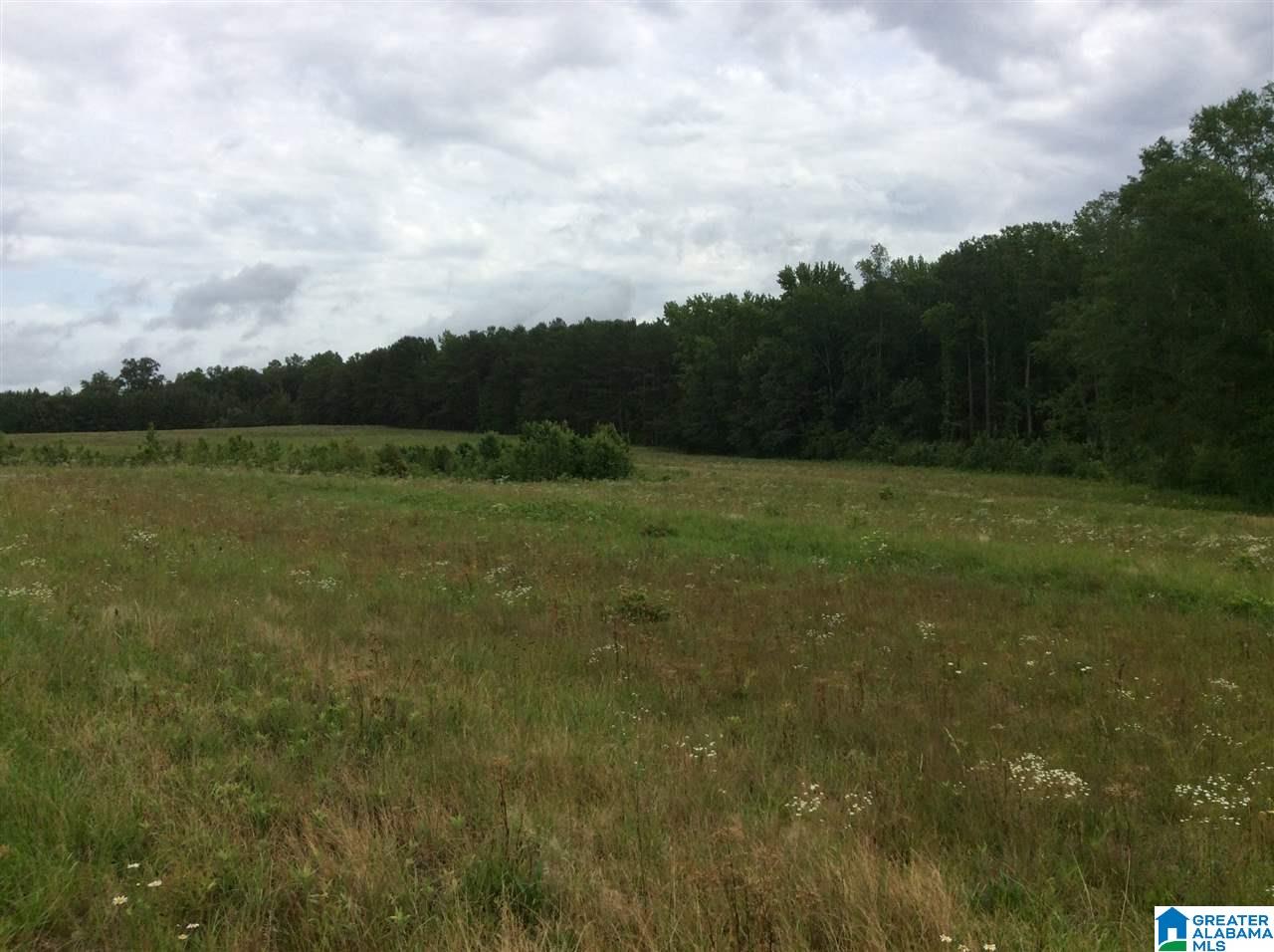 1395 County Road 152 Jemison, AL 35085 - Photo 14 of 26
