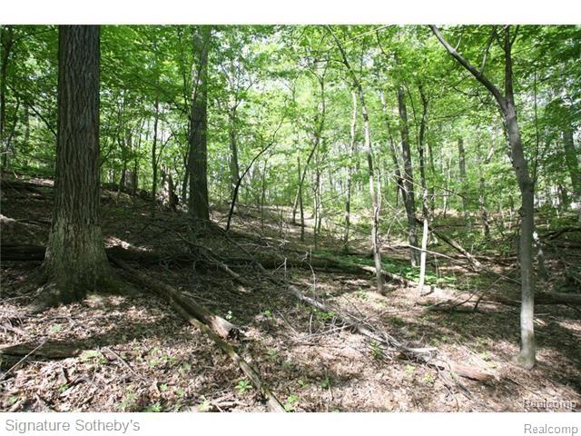 8630 Knox Road Clarkston, MI 48348 - Photo 8 of 13 9.jpg