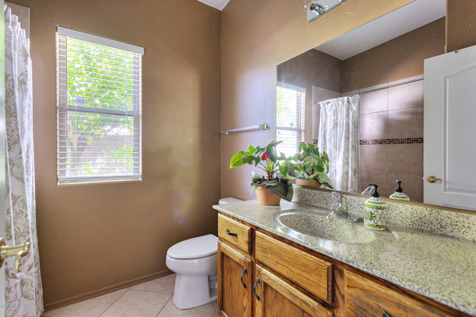 573 Pyramid Point Court Oro Valley, AZ 85737 - Photo 12 of 21
