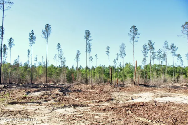 $114,900 | 10.34-ac 10.34-ac Little Cedar Road, Lucedale, MS 39452