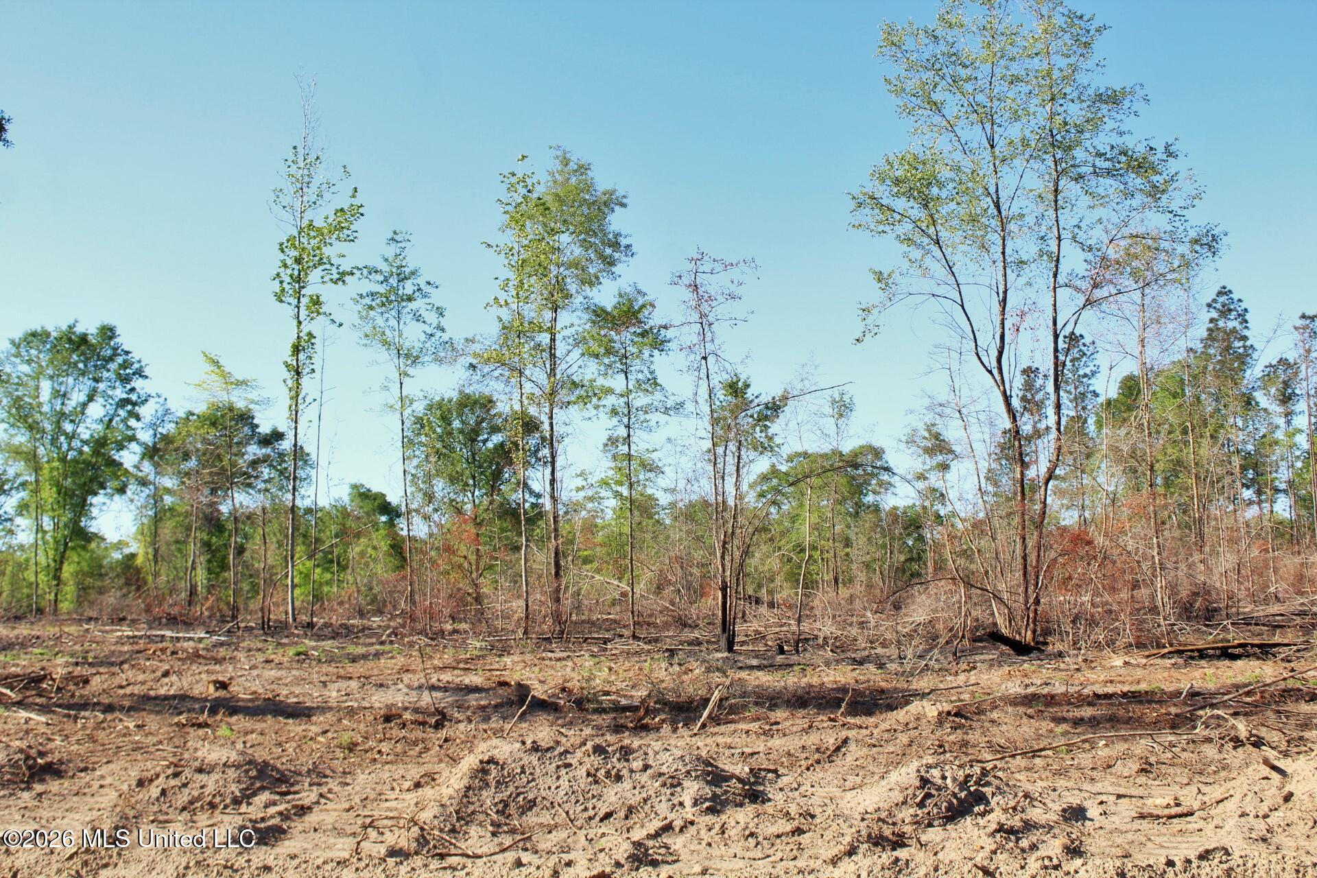 10.34-ac 10.34-ac Little Cedar Road Lucedale, MS 39452 - Photo 11 of 14 IMG_3462