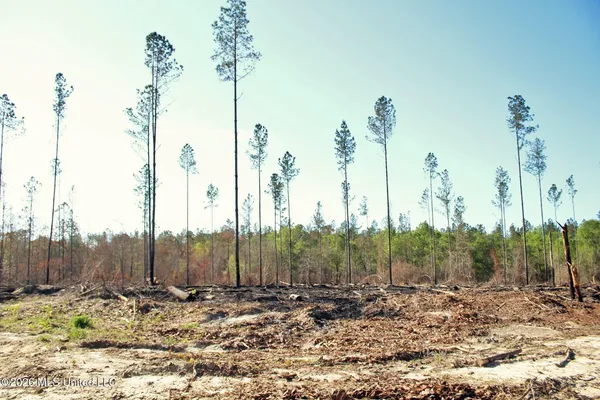 $114,900 | 10.34-ac 10.34-ac Little Cedar Road, Lucedale, MS 39452