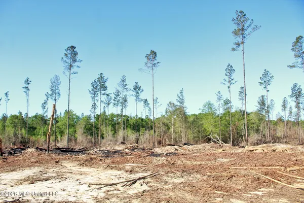 $114,900 | 10.34-ac 10.34-ac Little Cedar Road, Lucedale, MS 39452