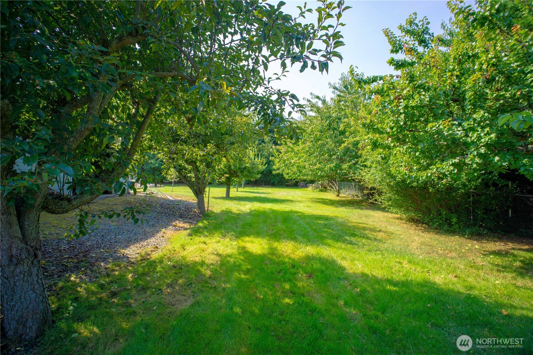 71 Le Roux Road Sequim, WA 98382 - Photo 35 of 40 a view of a yard with trees