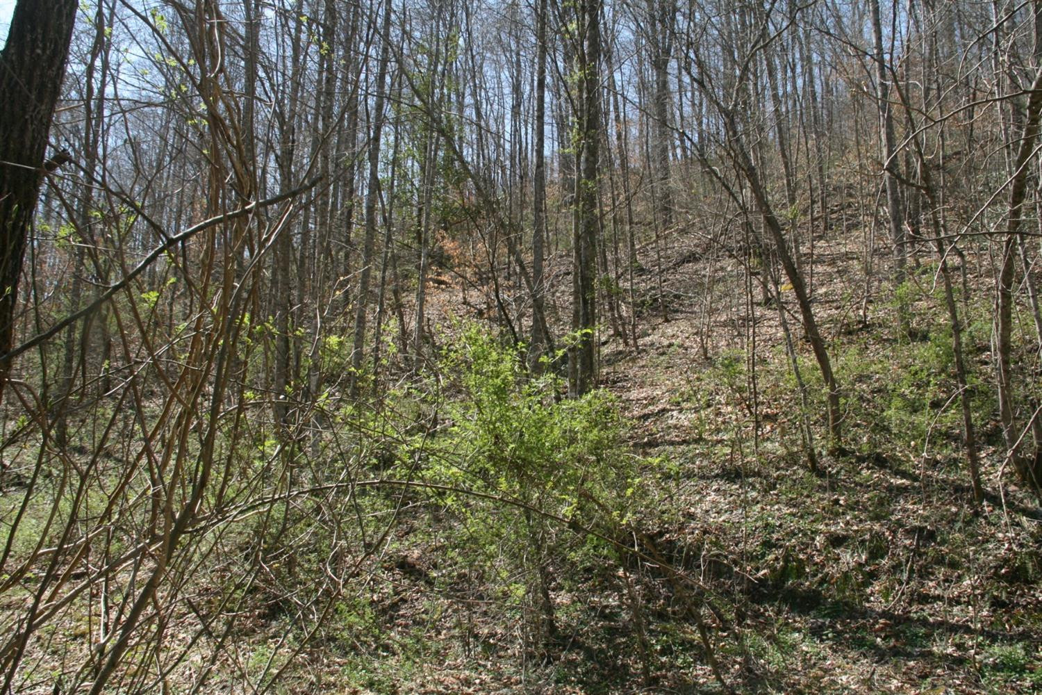 956 Kelse Holland Road Campton, KY 41301 - Photo 20 of 69 Photo 46