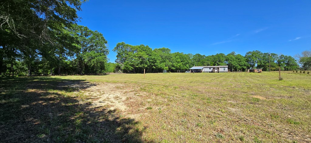800 Grady Garner Road Slocomb, AL 36375 - Photo 12 of 49