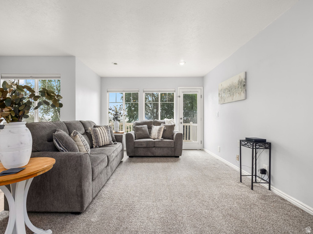 1381 Alpine Loop, Unit 1381 Provo, UT 84606 - Photo 4 of 27