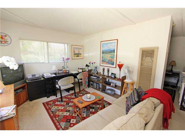 508 Warwick Avenue Cardiff, CA 92007 - Photo 13 of 25 Living Room with lots of windows and privacy for 1 BR
