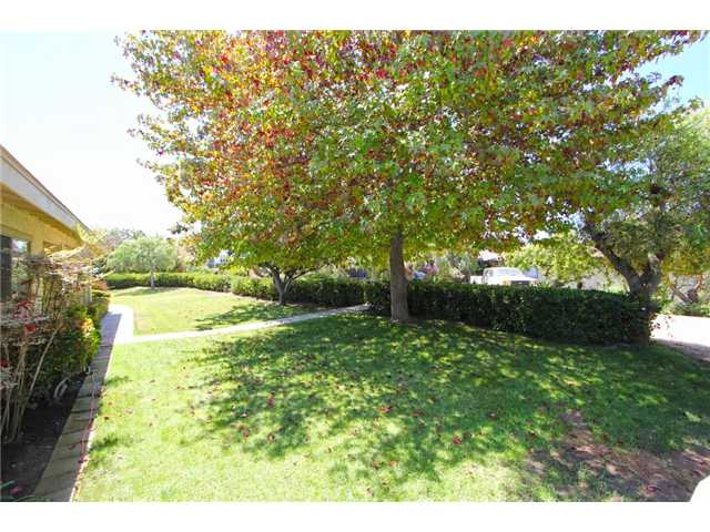 508 Warwick Avenue Cardiff, CA 92007 - Photo 22 of 25 land....space...privacy....
