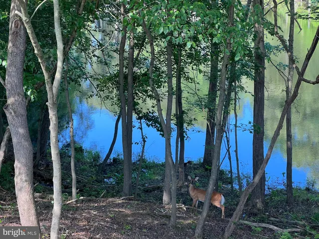 a large white kitchen with lots of counter space a sink and appliances