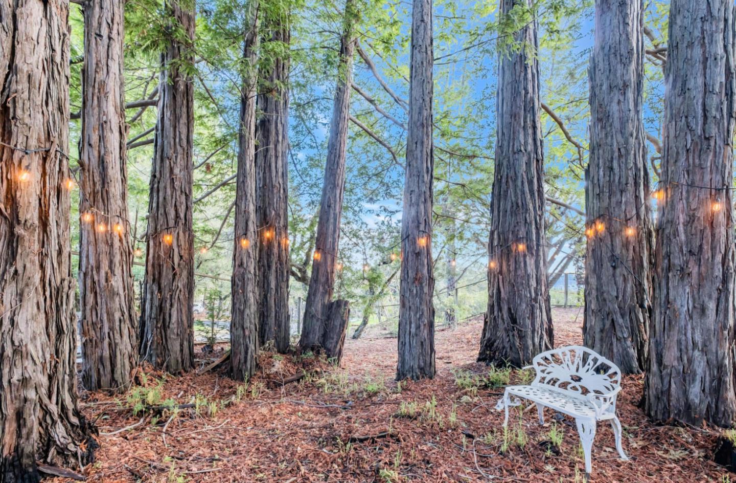 17070 Lon Road Los Gatos, CA 95033 - Photo 49 of 56 a backyard of a house with lots of green space and fountain
