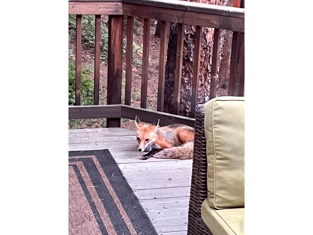 7 Ronnie Road Golden, CO 80403 - Photo 28 of 38 Neighborhood Friend