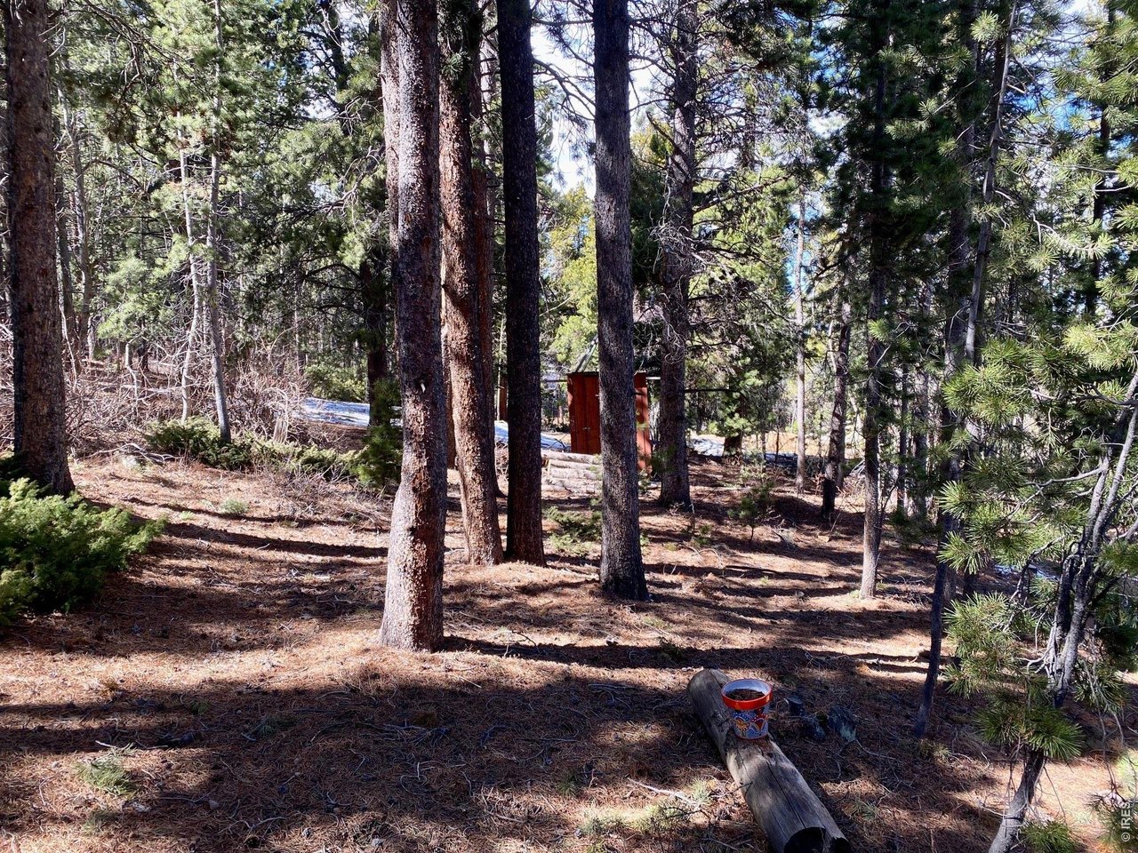 7 Ronnie Road Golden, CO 80403 - Photo 33 of 38 Well House