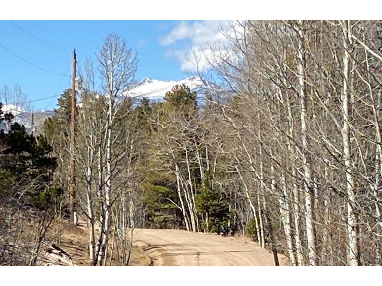 7 Ronnie Road Golden, CO 80403 - Photo 36 of 38 View from driveway.