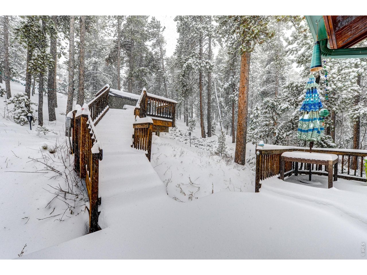 7 Ronnie Road Golden, CO 80403 - Photo 37 of 38