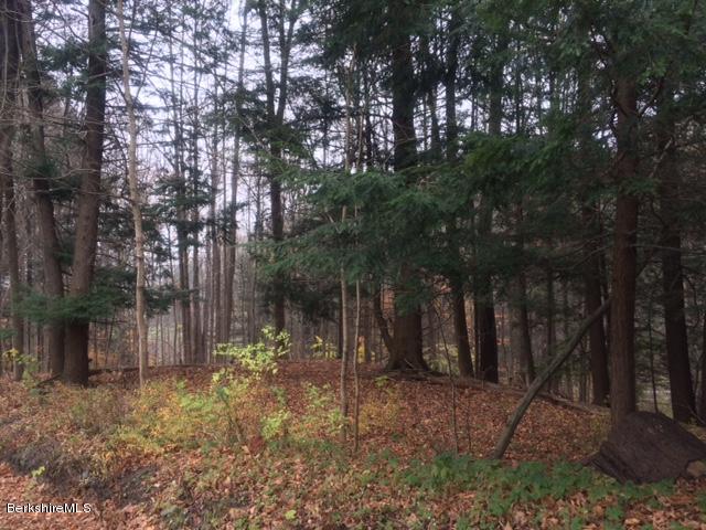 Bee Hill Road Williamstown, MA 01267 - Photo 1 of 3 Bee Hill