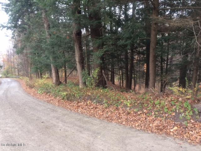 Bee Hill Road Williamstown, MA 01267 - Photo 3 of 3 Bee HillI