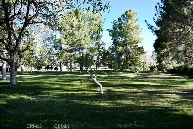 a green field with trees in the background