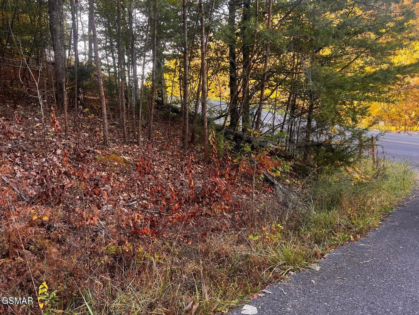 124 Sharp Road Sevierville, TN 37876 - Photo 13 of 14
