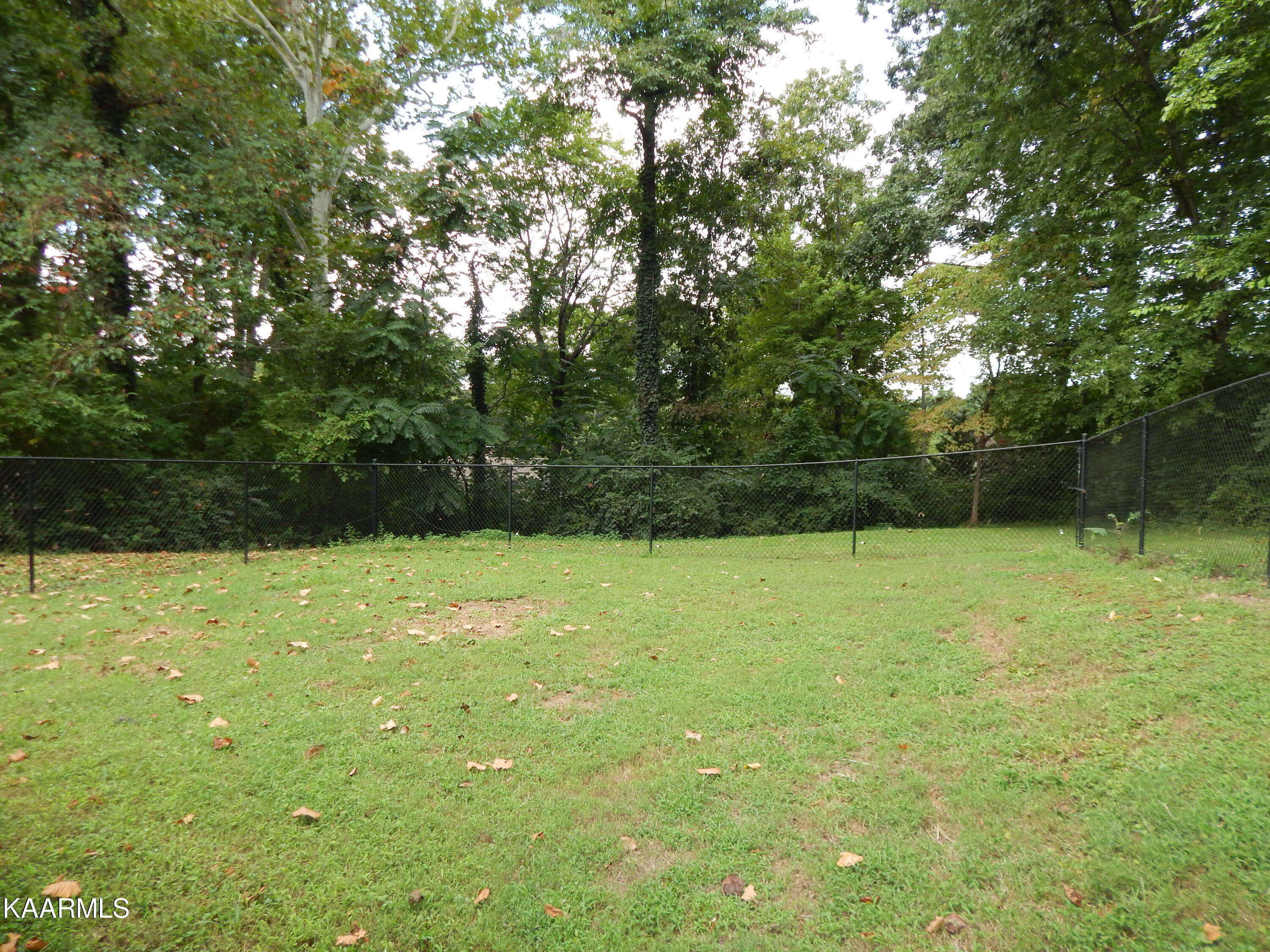 1628 Rushing Wind Lane Knoxville, TN 37922 - Photo 28 of 29 DSCN9371
