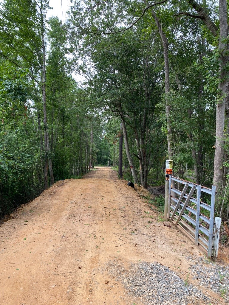 2242 Coot Adams Road Ashford, AL 36312 - Photo 6 of 39